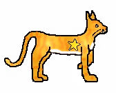 Croockedstar2