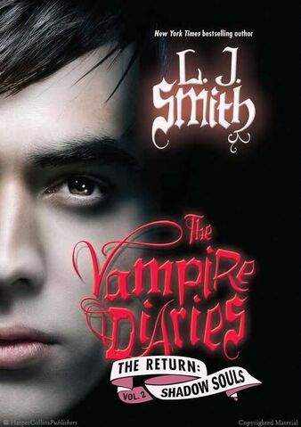 File:Vampire-diaries-return-shadow-souls.jpg