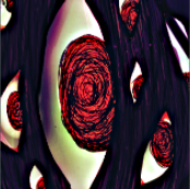 SpiderBudPortrait