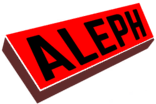 Risk Aleph