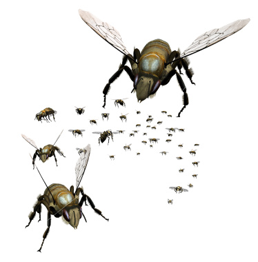 Swarm of Bees