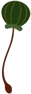 Butragneau
