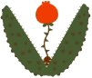 Cappulicho