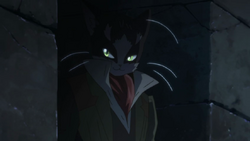 Cat guy