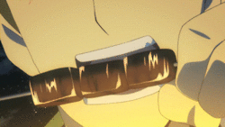 Naotusugu meat