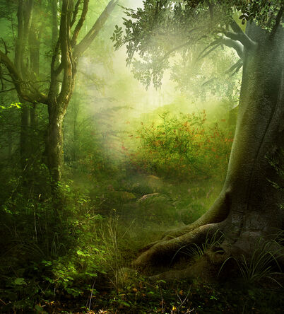 Enchanted Forest Premade by frozenstocks