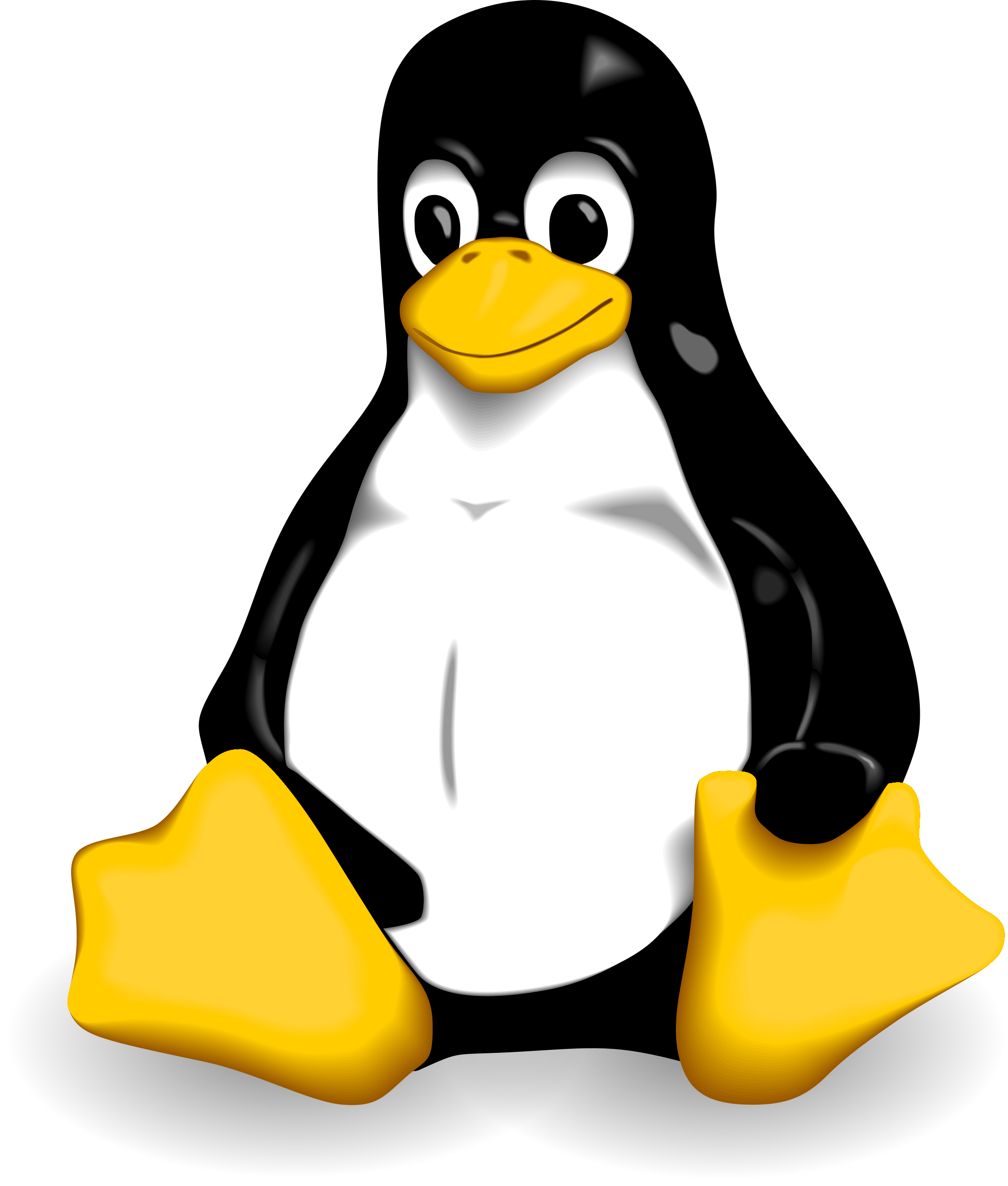 Linux image что это