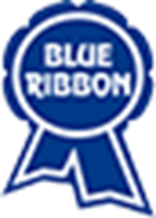 Blue Ribbon | Logopedia | FANDOM powered by Wikia