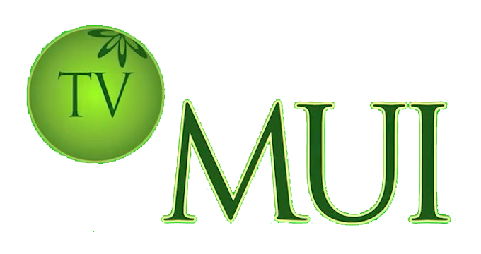 TV MUI | Logopedia | Fandom