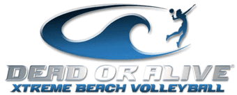 beach volleyball logo