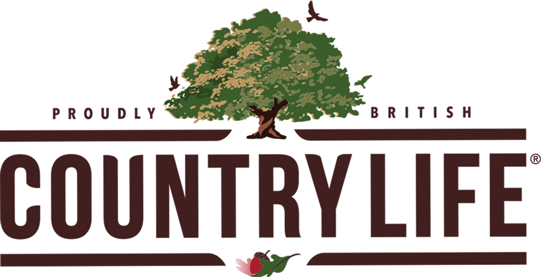 Country Life Logopedia FANDOM powered by Wikia