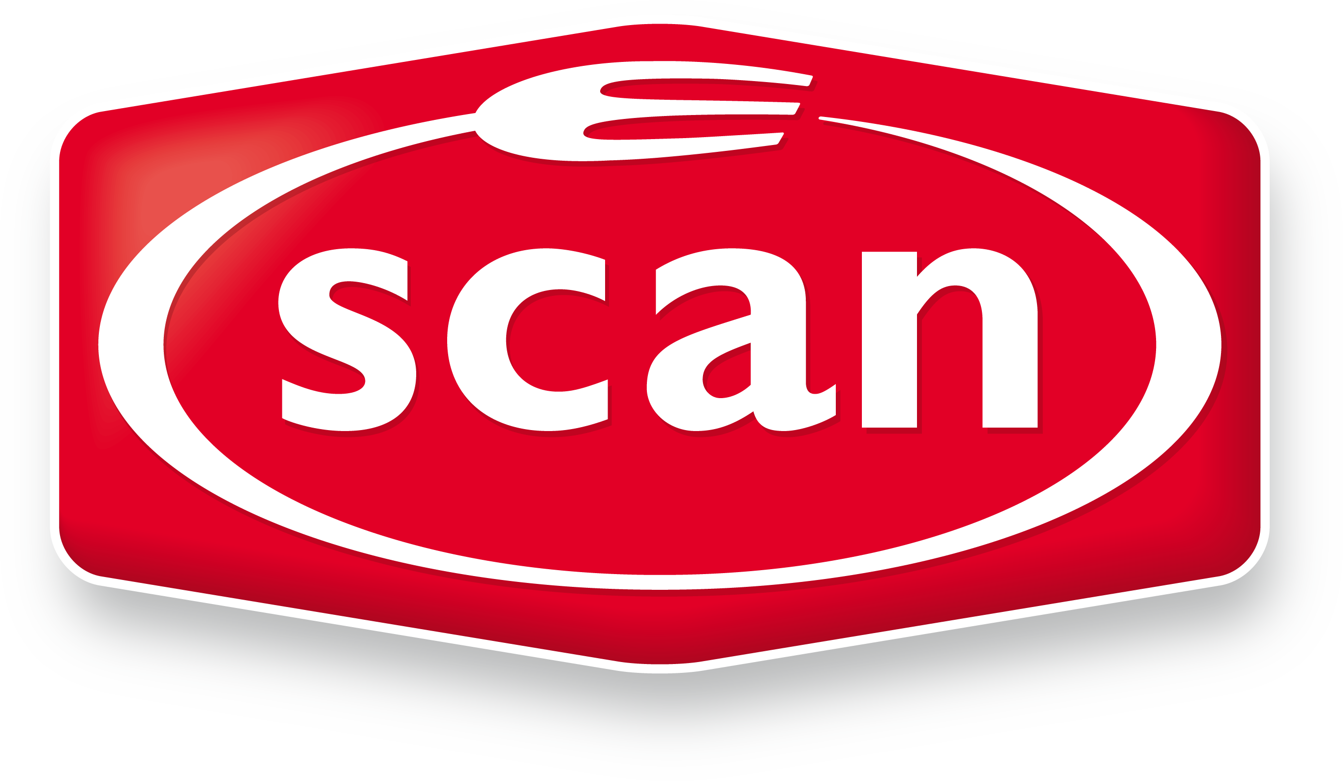 Bildresultat för scan