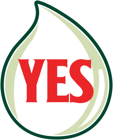 File:Yes logo 2005.svg | Logopedia | FANDOM powered by Wikia