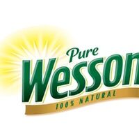 Wesson Logopedia Fandom