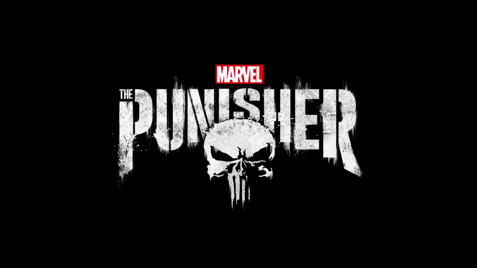 The Punisher The Punisher Season 2 and Season 3