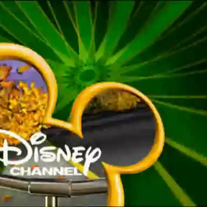 Disney Channel International Bounce And Ribbon Idents And Bumpers Logopedia Fandom