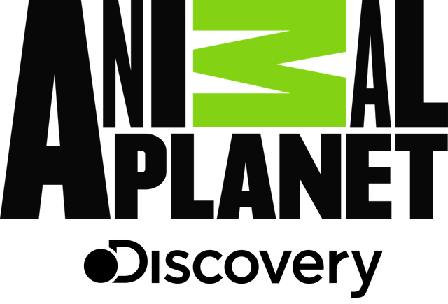 Image - Animal Planet.png | Logopedia | FANDOM powered by Wikia