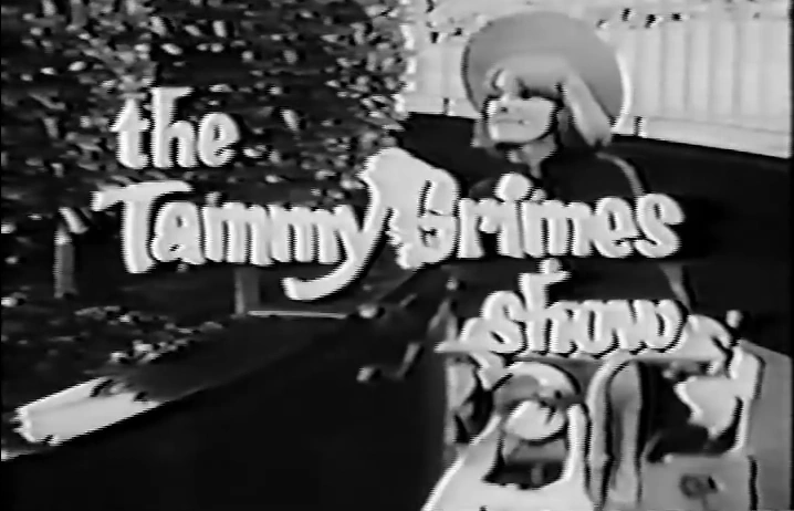 Image result for tammy grimes show