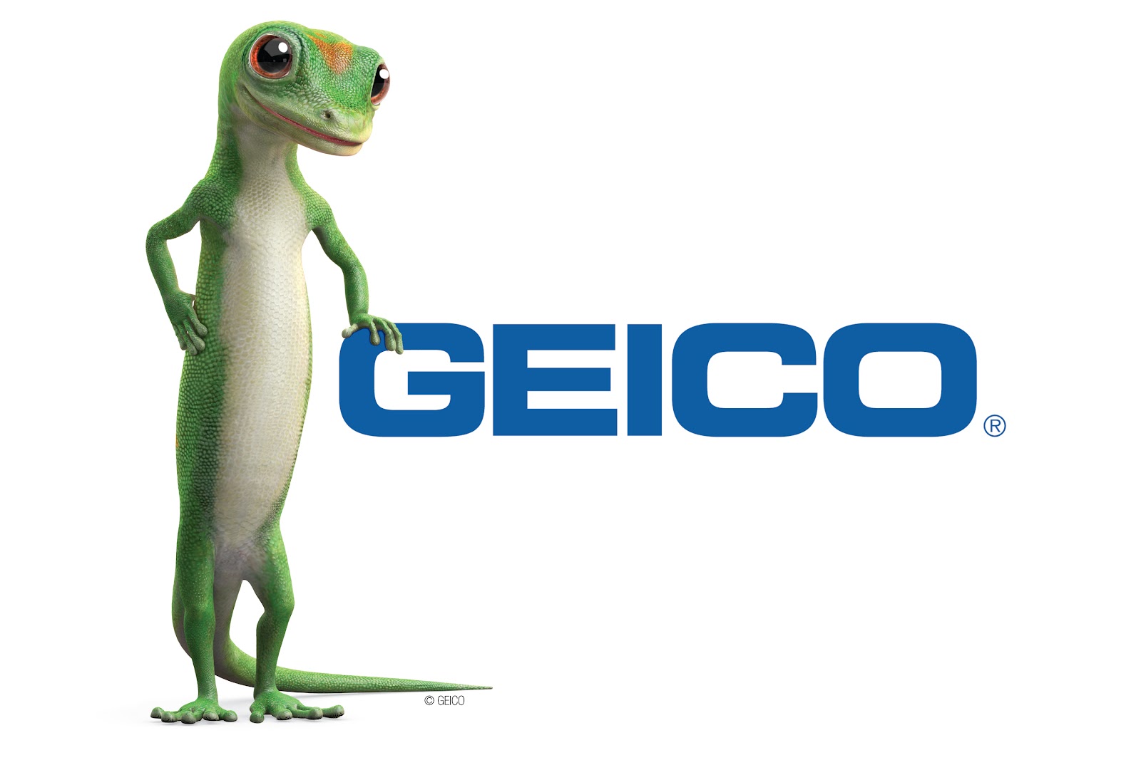 Image Geico Jpg Logopedia Fandom Powered By Wikia Geico Jpg
