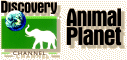 Animal Planet (International) | Logopedia | FANDOM powered by Wikia