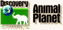 Animal Planet (International) | Logopedia | FANDOM powered by Wikia
