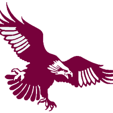 Manly Warringah Sea Eagles Other Logopedia Fandom