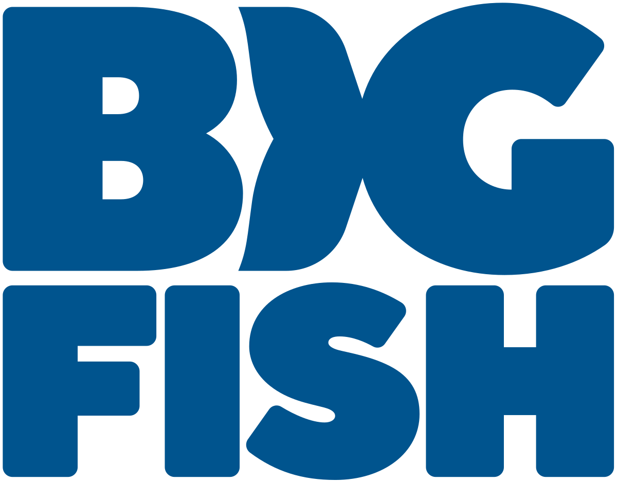 big fish games account