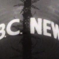 Bbc News Brand Logopedia Fandom