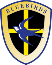 Cardiff City | Logopedia | Fandom