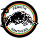 Penrith Panthers | Logopedia | FANDOM powered by Wikia