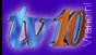 TV10NL