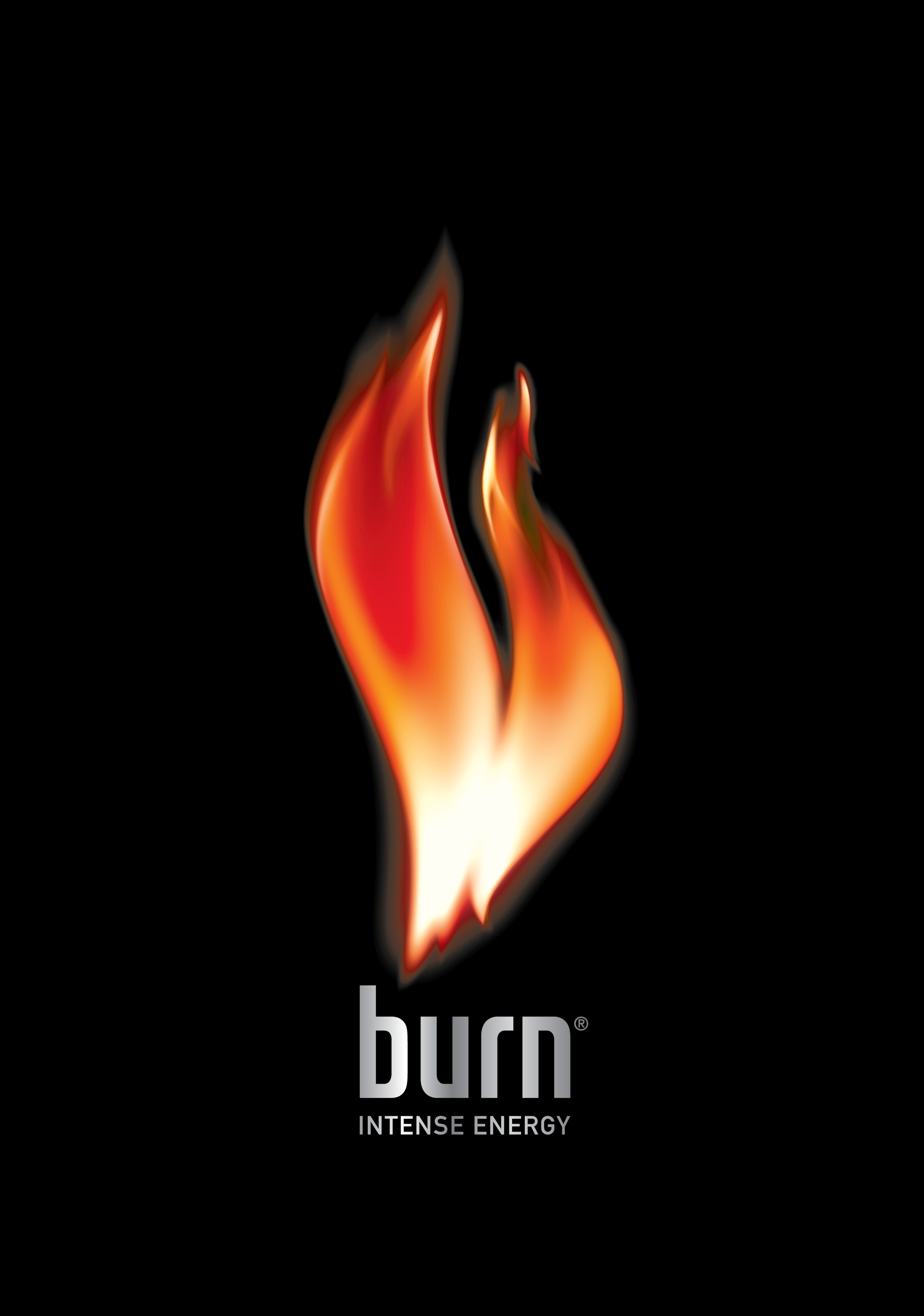 Burn Logopedia FANDOM powered by Wikia
