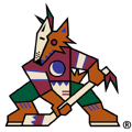 Phoenix Coyotes 1996