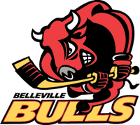 Hamilton Bulldogs (OHL) | Logopedia | FANDOM powered by Wikia