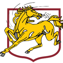 Brisbane Broncos Other Logopedia Fandom