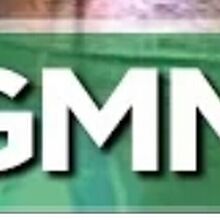 Good Mythical Morning Logopedia Fandom