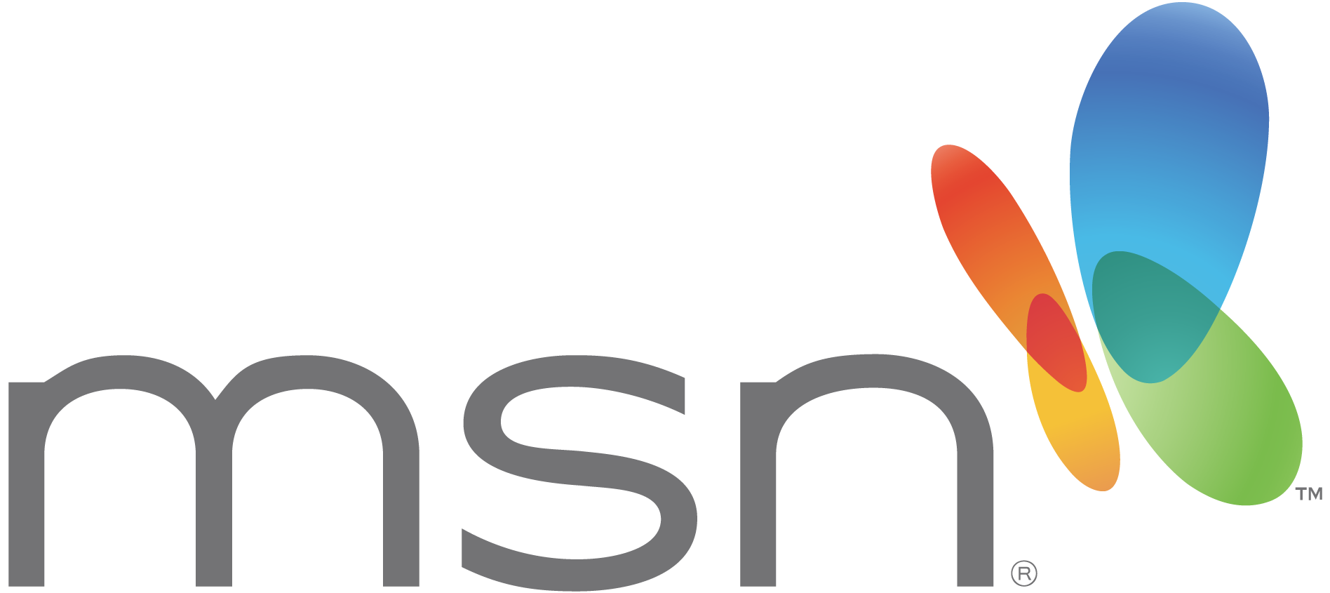 image msn logo 2009 png logopedia fandom powered by wikia