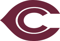 Arizona Cardinals | Logopedia | FANDOM powered by Wikia