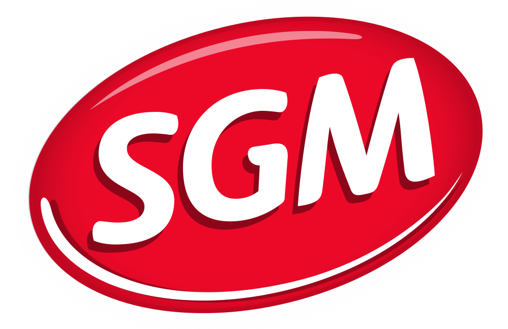 Чем открыть формат sgm