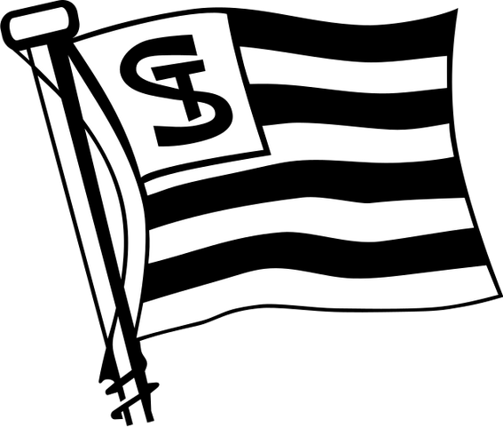 File:Sturm Graz logo (flag only).svg | Logopedia | FANDOM powered by Wikia