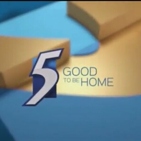 Mediacorp Channel 5 Logopedia Fandom