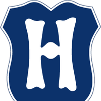 Hertha Bsc Logopedia Fandom