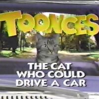 Toonces The Cat Who Could Drive A Car Logopedia Fandom