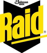 Raid | Logopedia | Fandom