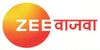 Category:Zee Network | Logopedia | Fandom