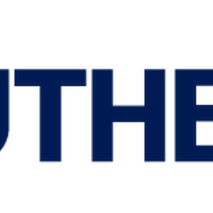 China Southern Airlines Logopedia Fandom