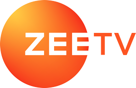 Image result for zee tv logo