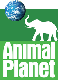 Animal Planet | Logopedia | FANDOM powered by Wikia