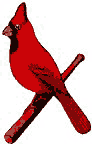 St. Louis Cardinals | Logopedia | FANDOM powered by Wikia