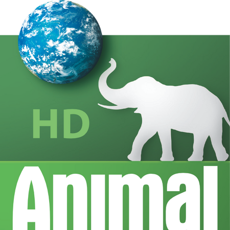Animal Planet Other Logopedia Fandom